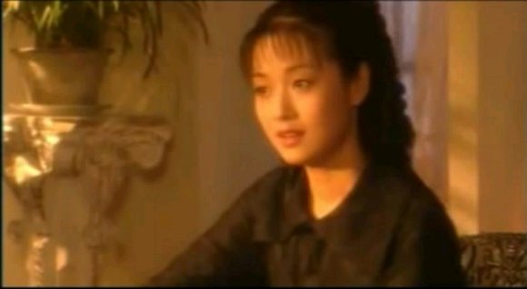 1997年《天国洋将/英雄冢》饰演杨珍美