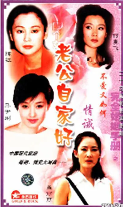 2000年《完全婚姻手册》饰演王澈