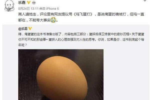 乐嘉蛋碎事件 为什么被踢出娱乐圈的原因